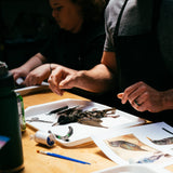 Bird Taxidermy Class - Low Income & Diversity