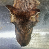 Pre-Recorded: Skinning & Tanning