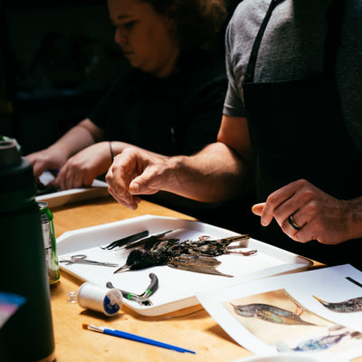 Small Bird Taxidermy Class