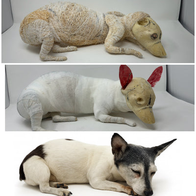 Online Mammal Wrapped-Body Taxidermy