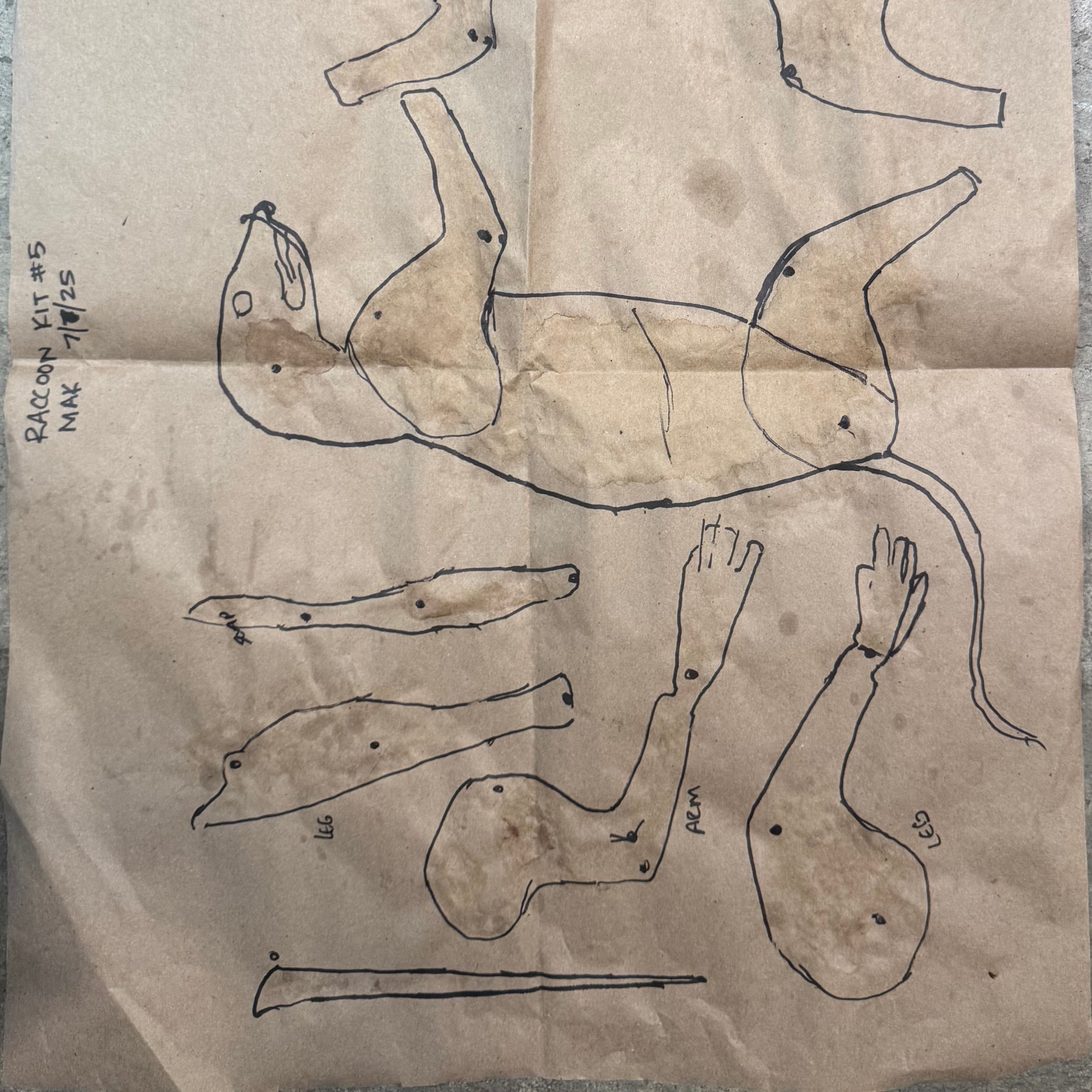 Online Mammal Wrapped-Body Taxidermy