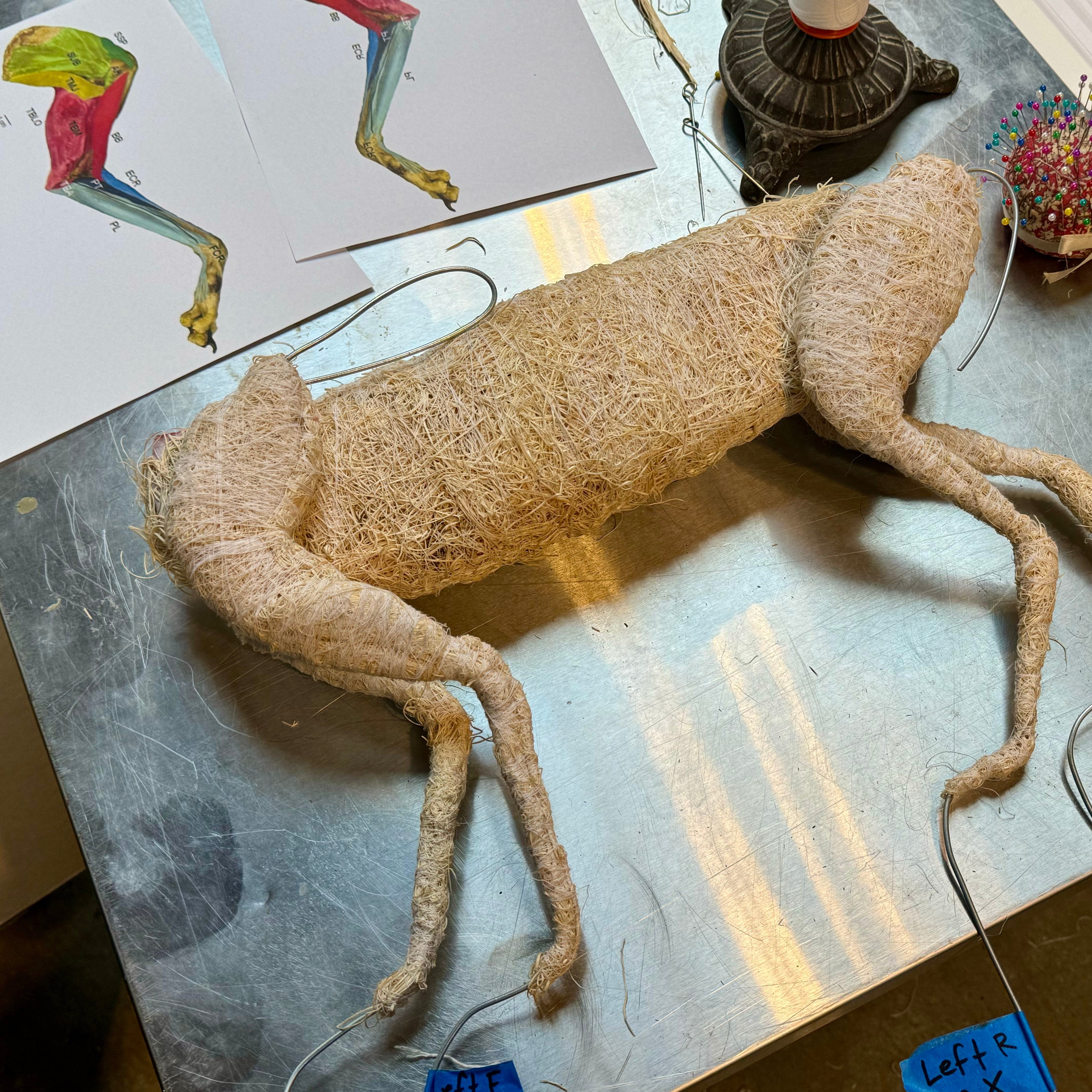 March Payment Wrapped Red Fox