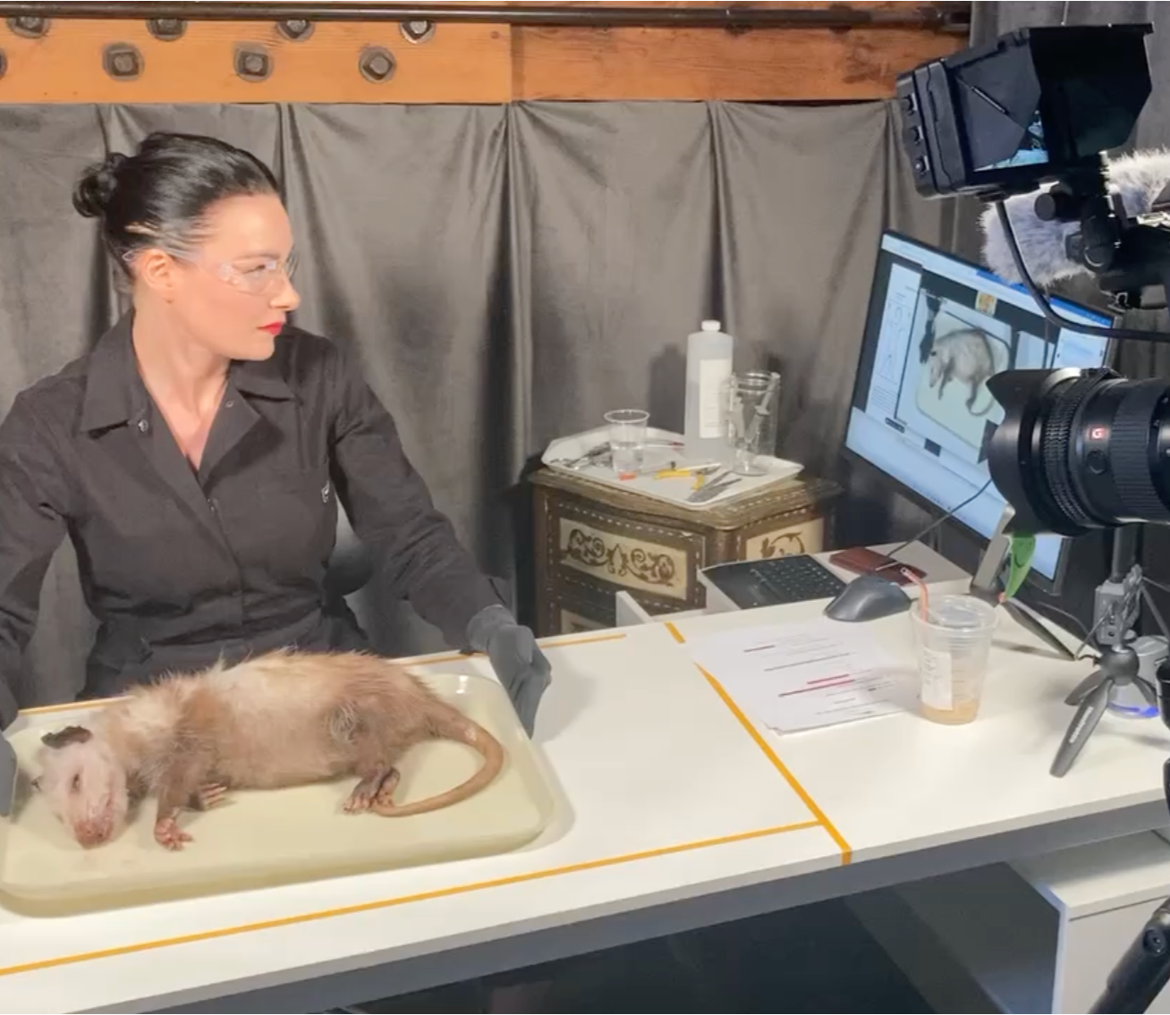Online Course: Skinning & Tanning