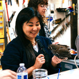 Student in Bird Taxidermy Class at Prey Taxidermy