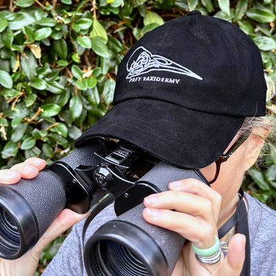Prey Taxidermy Birding Cap in Use with binoculars.